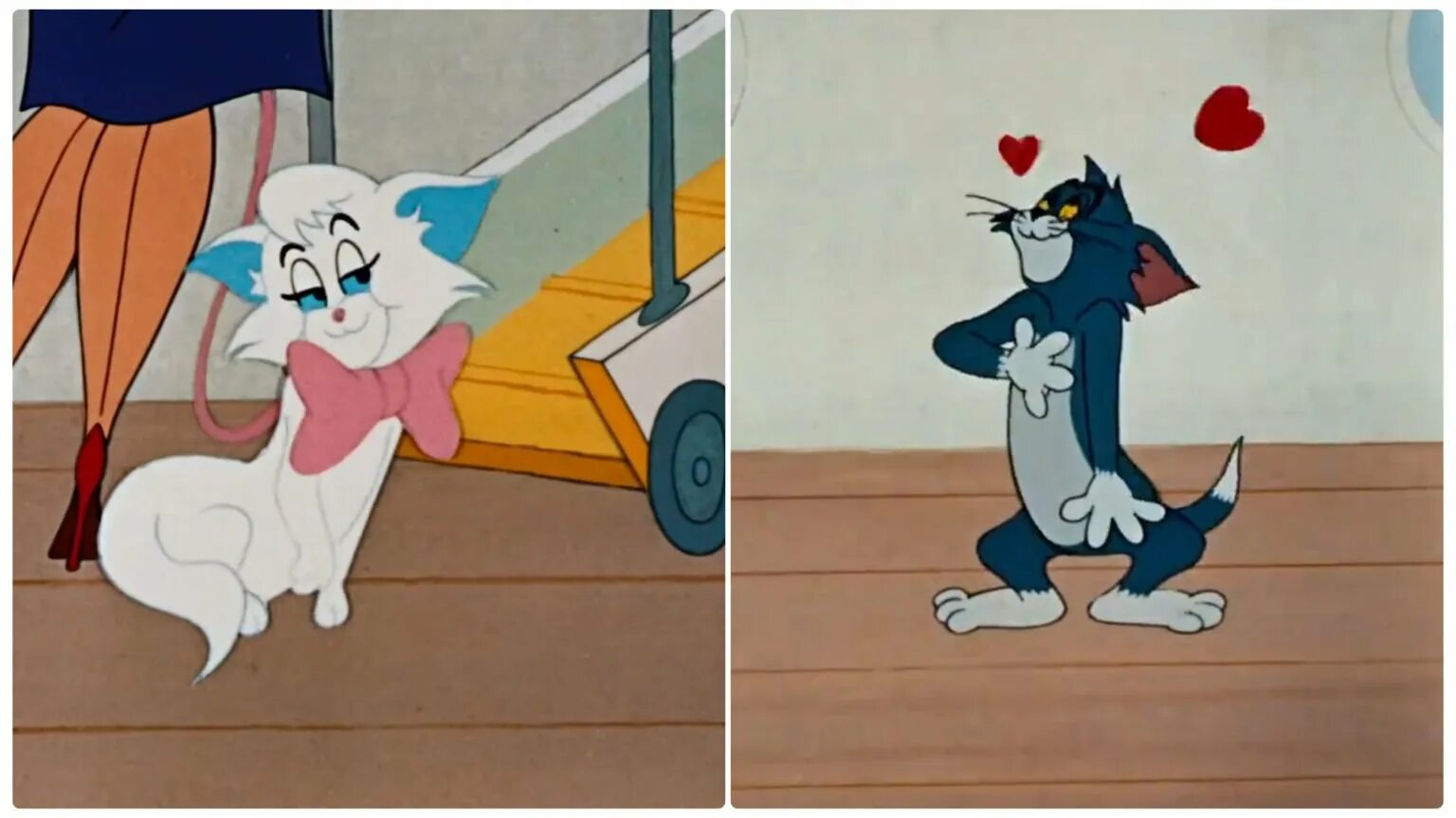 Коты из том и джерри фото Tom And Jerry Meme Templates