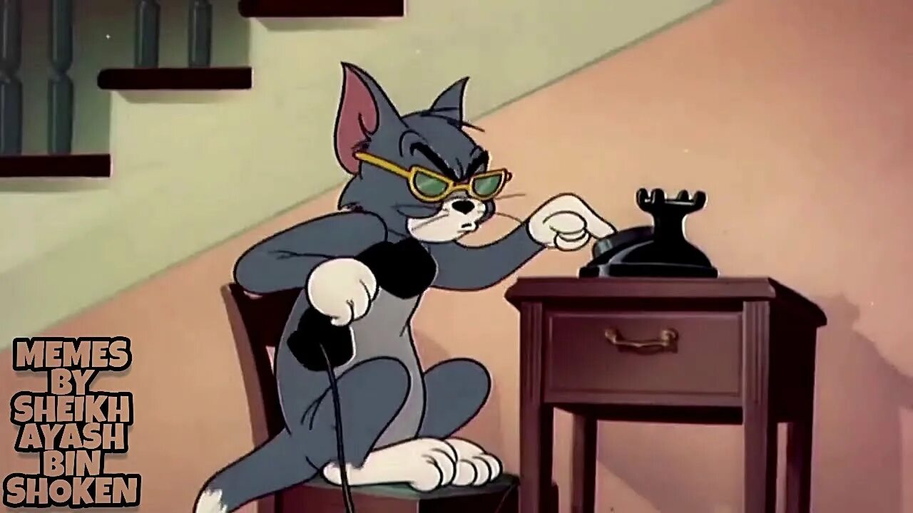 Коты из том и джерри фото When Tom Bhai Call Butch Murshad For Help!!! Funny Memes - YouTube