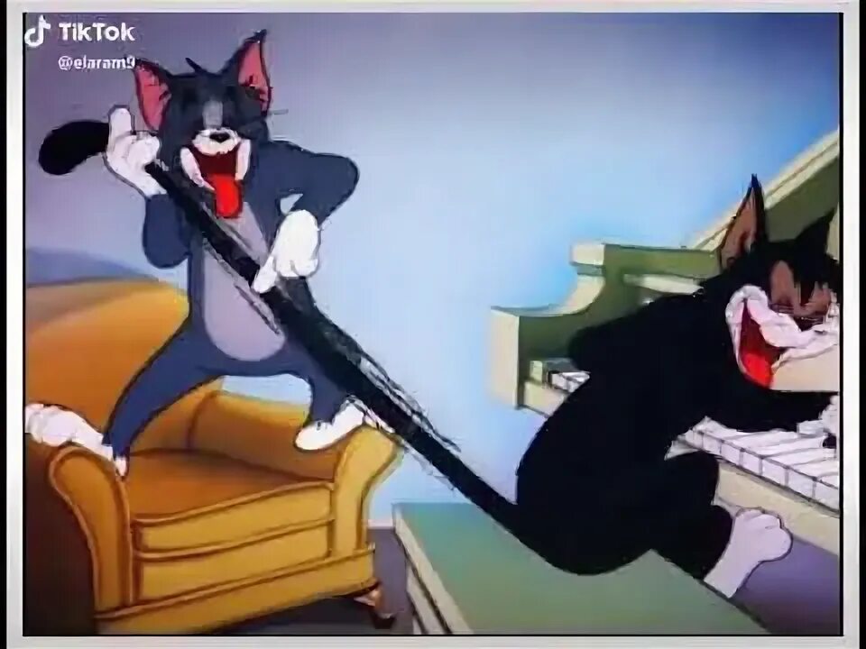 Коты из том и джерри фото Tom and Jerry... - YouTube