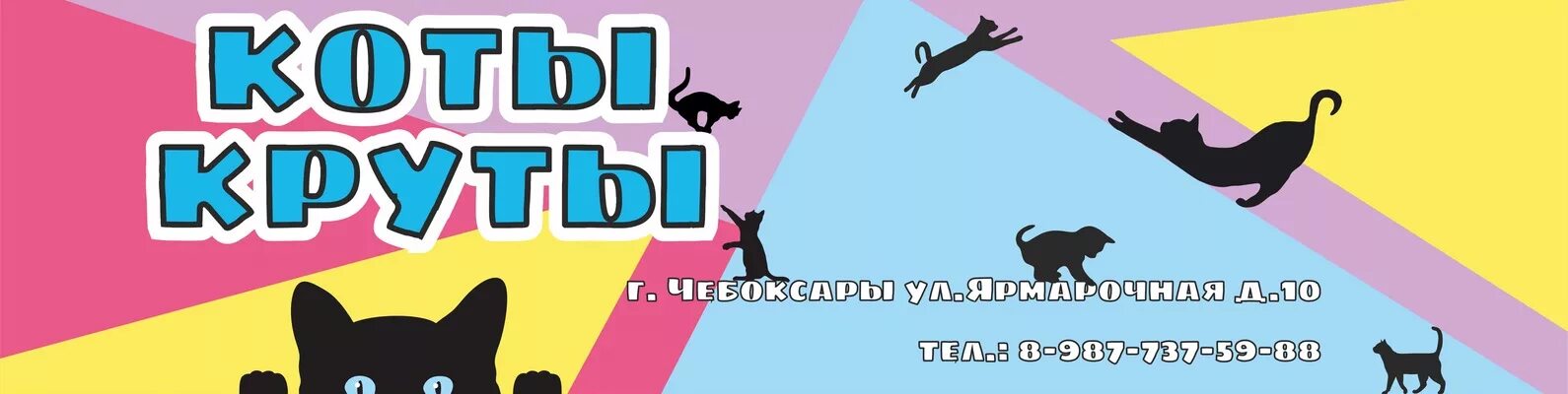 Коты круты ярмарочная ул 10 чебоксары фото Открытие котокафе в Чебоксарах С радостью сообщаем вам, что 17 февраля состоится