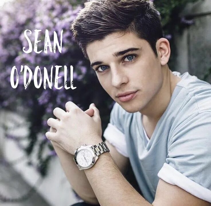 Красивые мужчины 20 фото Chicos y Chicas para tus novelas O donnell, Blonde guys, Cute white guys