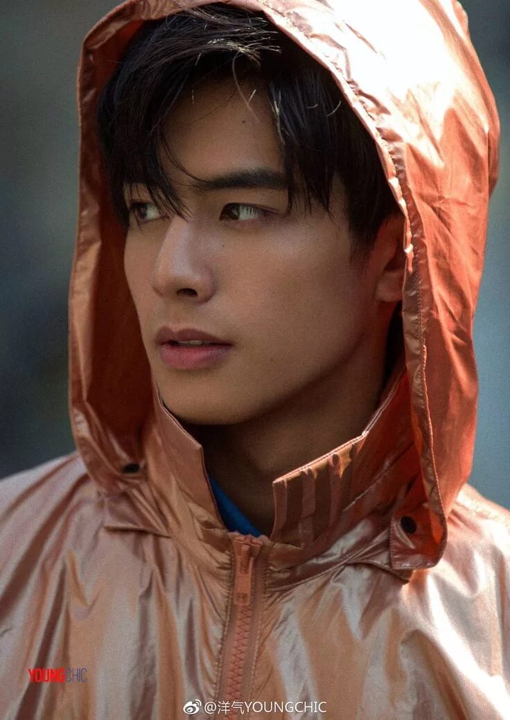 Красивые мужчины китая фото Song wei long Most handsome actors, Song wei long, Actors