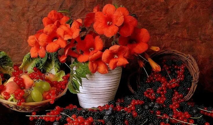 Красивые натюрморты с цветами и фруктами фото картинки рябина на черном фоне: 10 тыс изображений найдено в Яндекс.Картинках Be