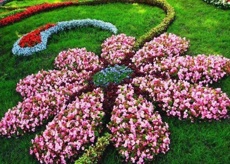 Красивые низкорослые цветы для клумбы фото Pin on Plantas y Flores Beautiful flowers garden, Beautiful gardens, Flower gard