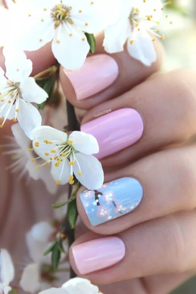 Красивые ногти маникюр на весну Nailscope Cherry blossom nails, Nail art, Spring nail art
