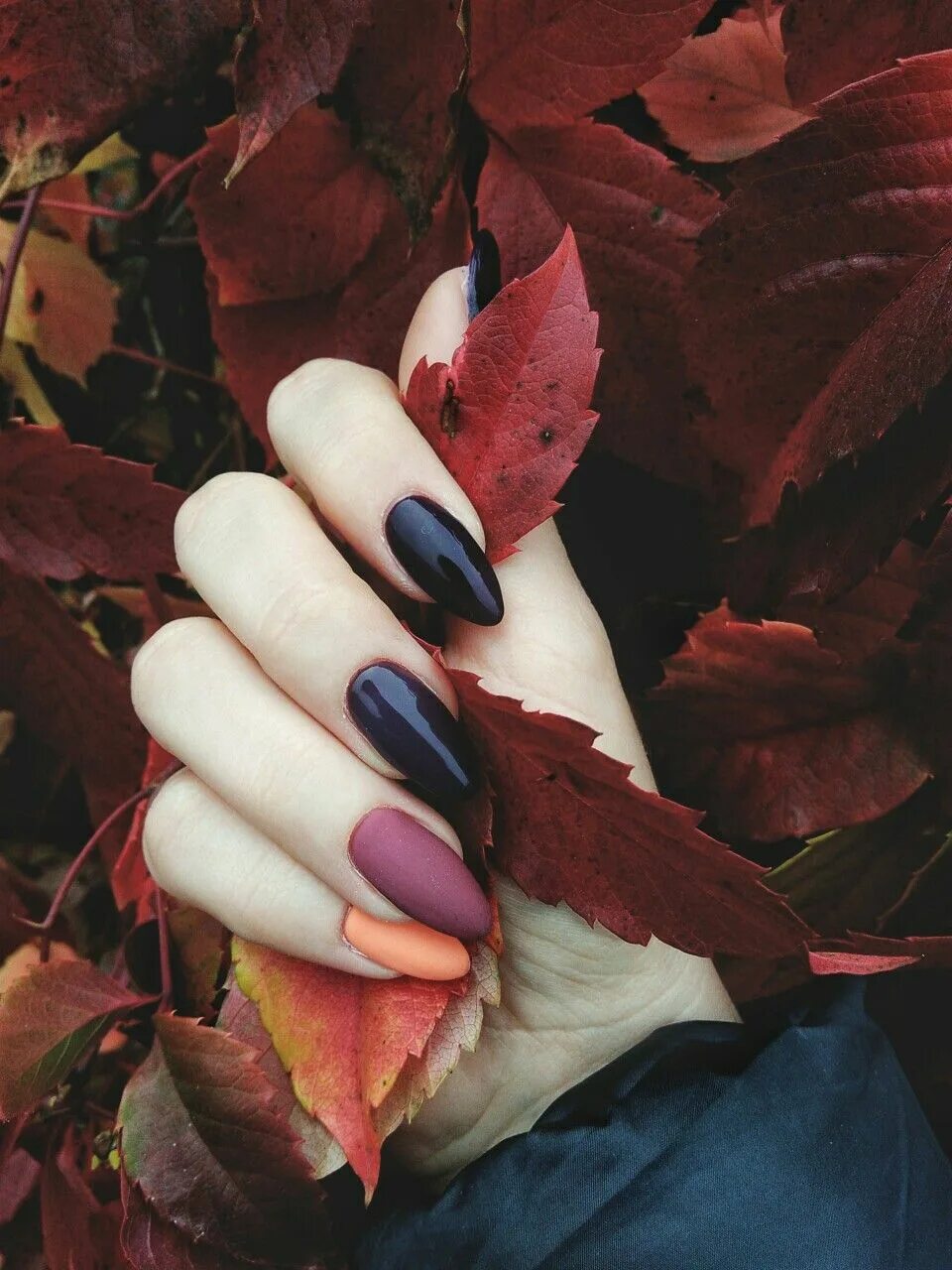 Красивые ногти на осень фото Autumn nails Unghie
