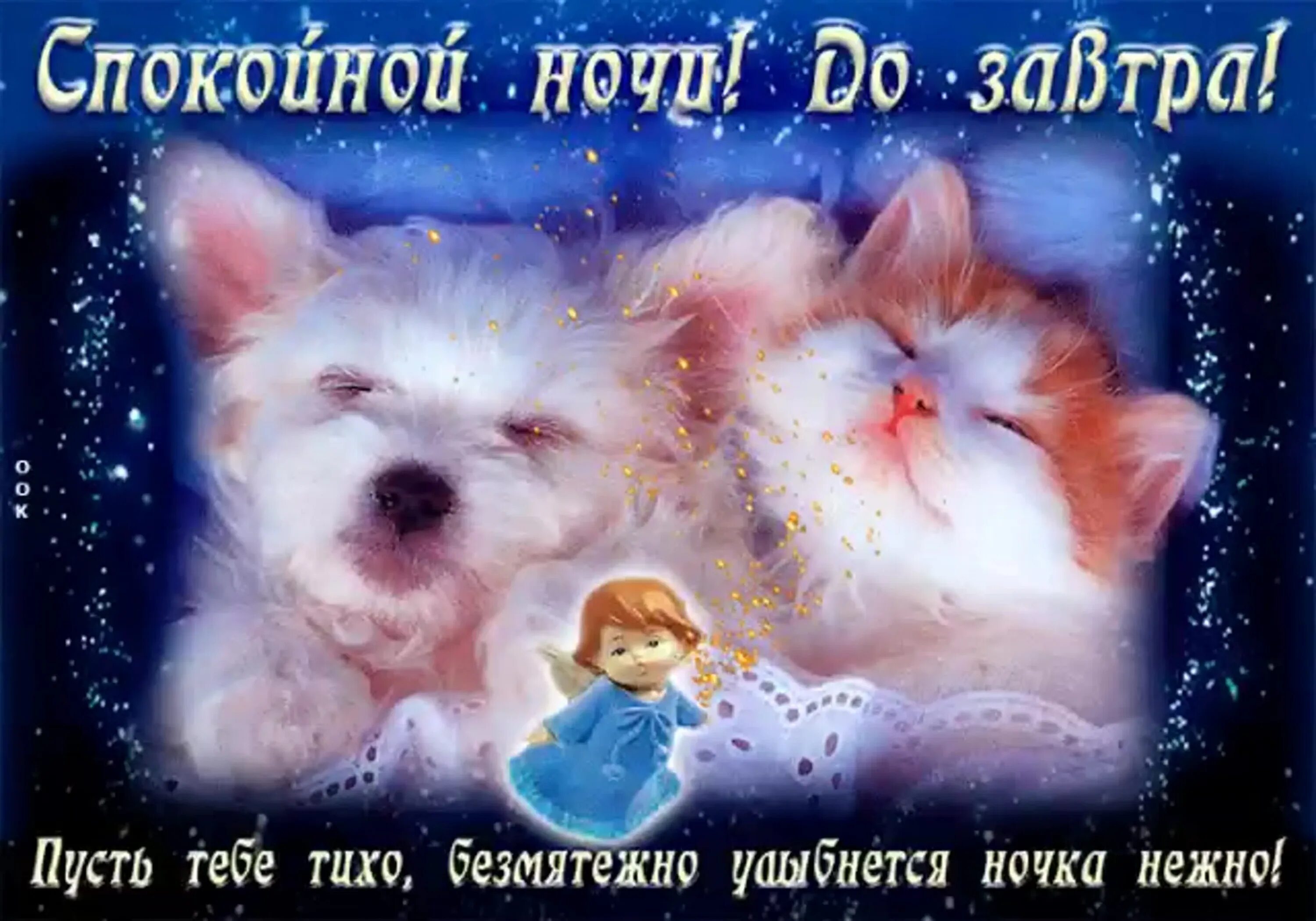 Красивые новые картинки спокойной ночи с пожеланиями Спокойной ночи с животными (58 картинок)