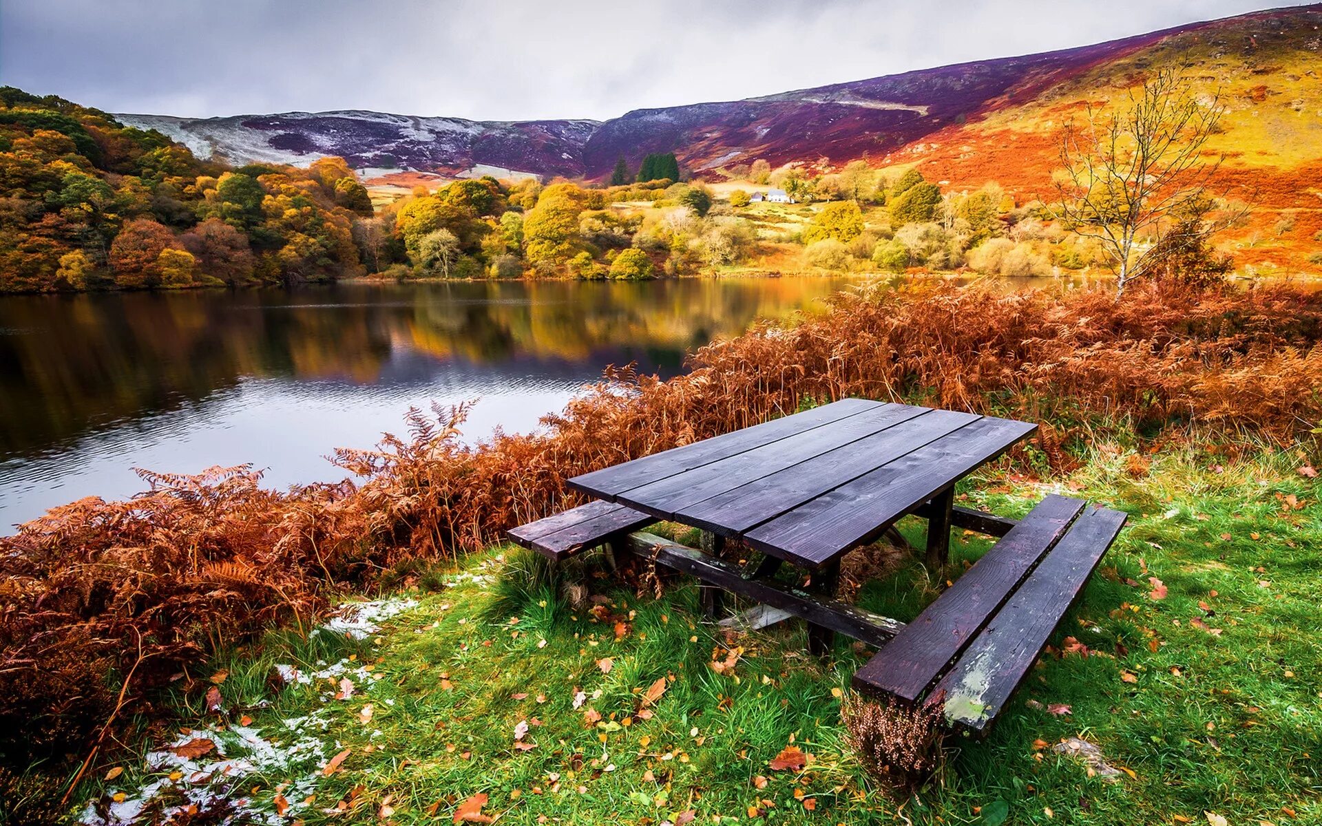 Красивые обои для стола фото Wallpaper : landscape, lake, nature, reflection, grass, table, bench, wilderness