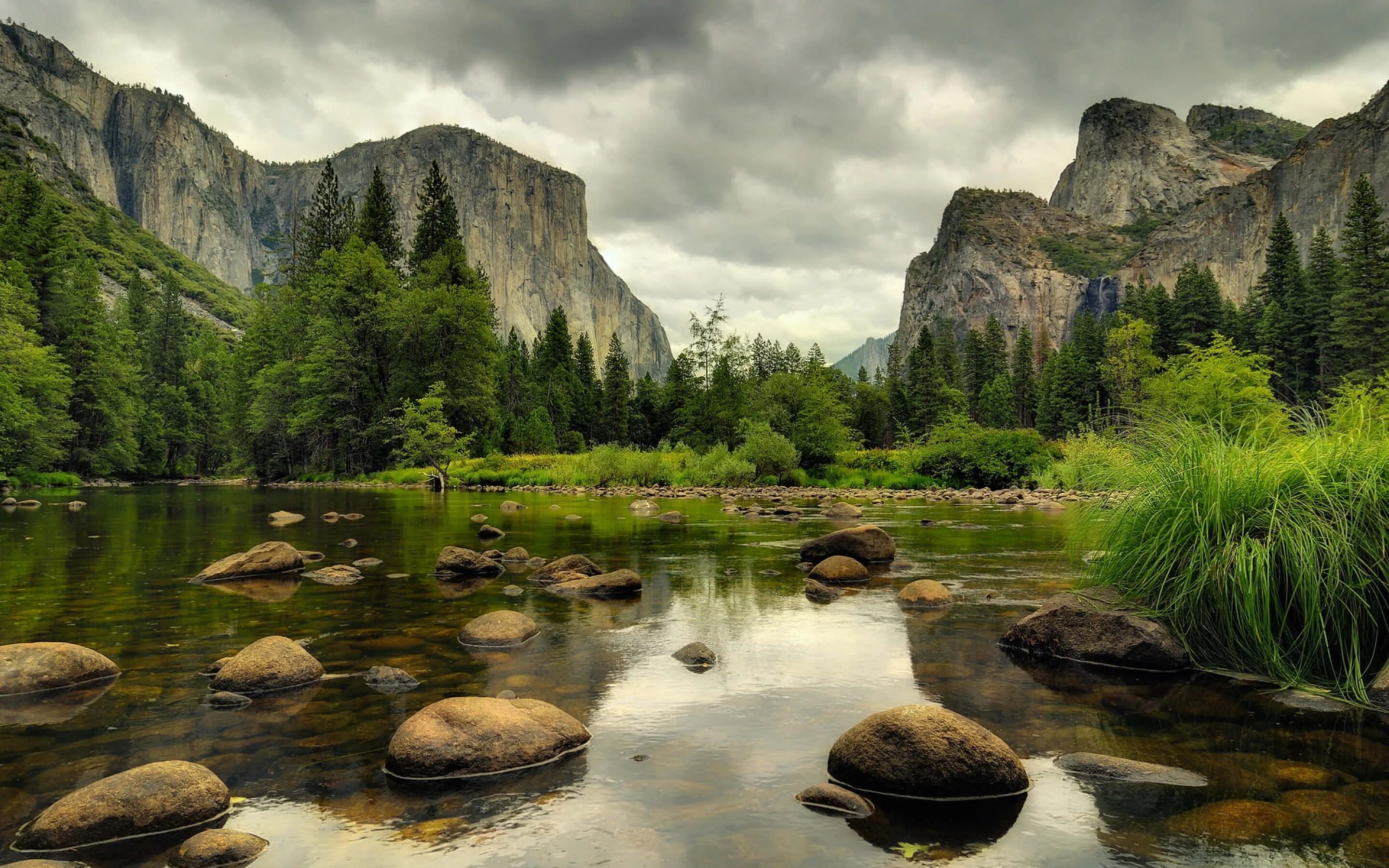 Красивые обои на андроид фото 100+ Pretty Nature Pictures Wallpapers.com