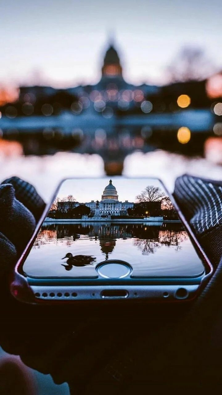 Красивые обои на экран телефона фото 50 Stunning iPhone Wallpaper Backgrounds for 2019, The new iPhone X earned any s