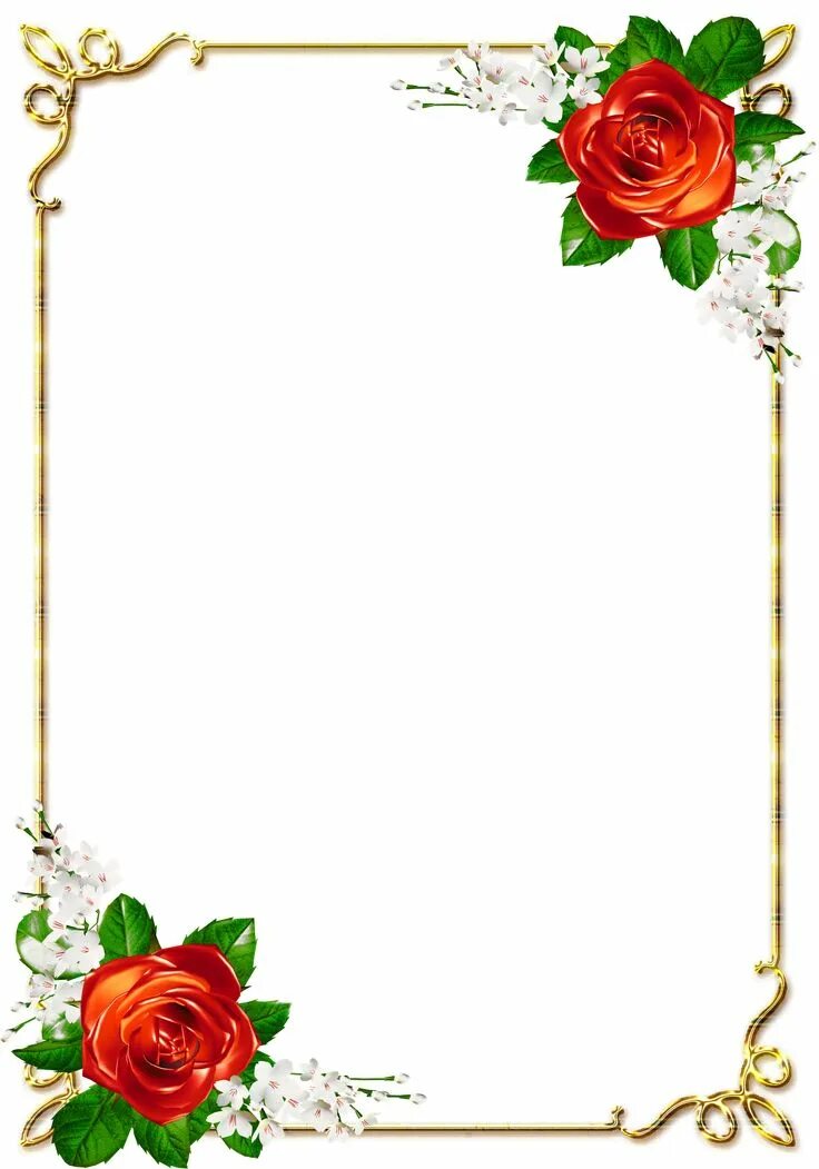 Красивые оформление поздравлений ✼ ✻ ✺ ✹ ✸ ✷ ₪ ❃ ❂ ❁ ❀ Floral border design, Flower border clipart, Clip art fram