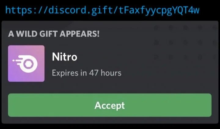 Красивые оформления дискорд нитро Everyone's First Month Of Discord Nitro (discord Nitro Compilation 940