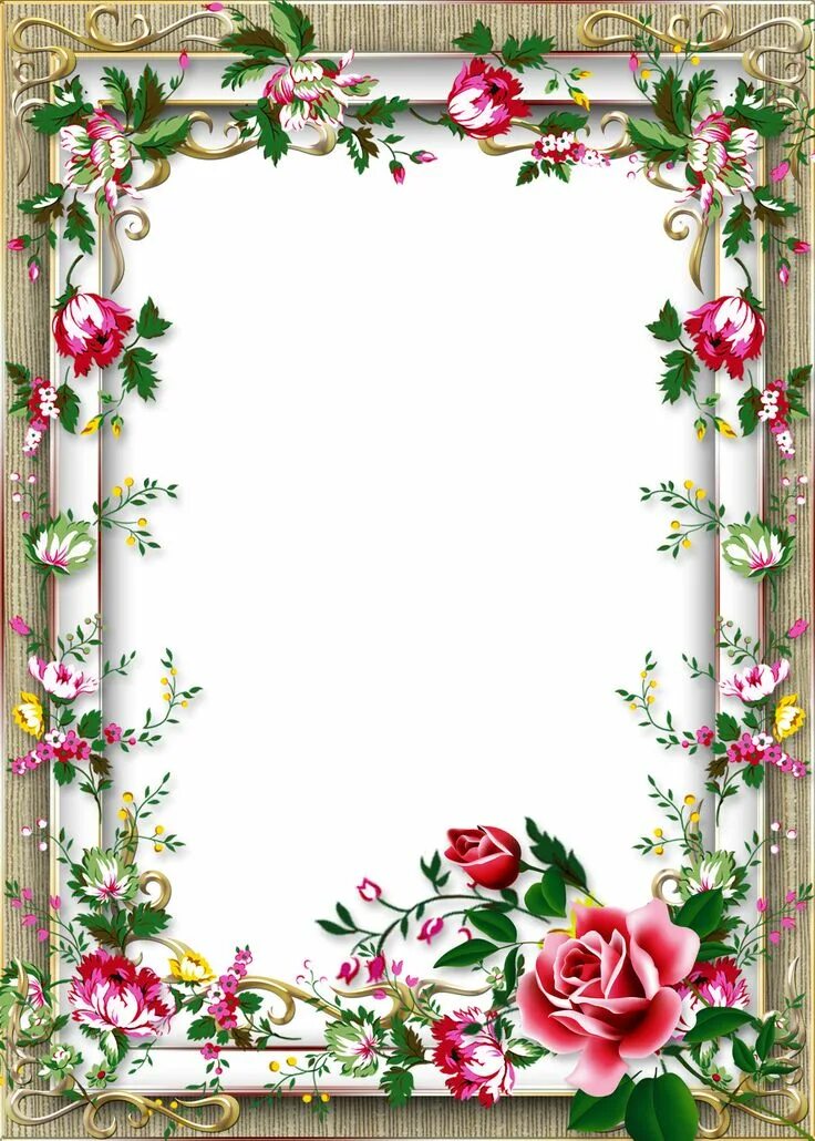 Красивые оформления поздравления с днем рождения Frame for Photo with Beautiful Pink Roses ( PSD, PNG ) downl Floral border desig