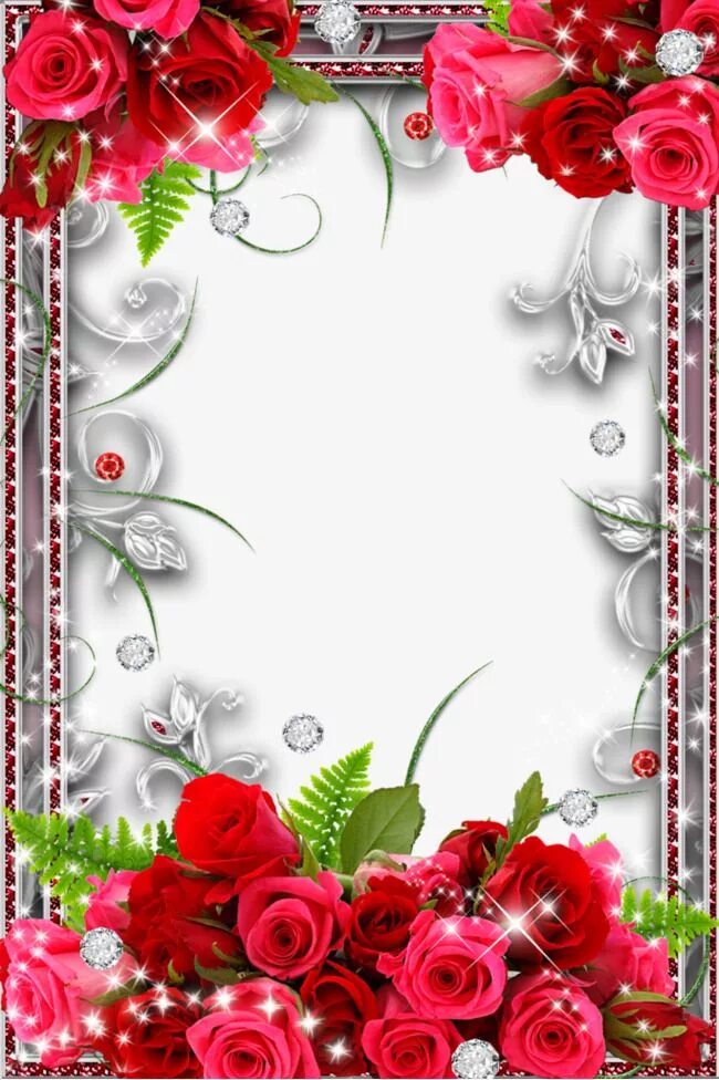 Красивые оформления поздравления с днем рождения Rose Border Stock Photos PNG Images, Rose Clipart, Red Flowers, Red Rose PNG Tra