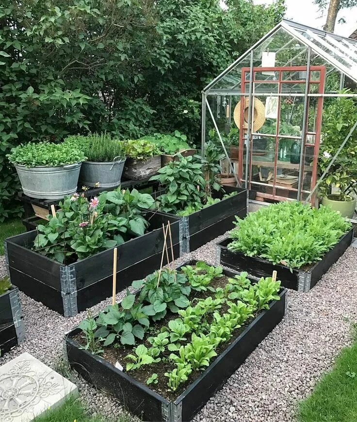 Красивые огороды и сады своими руками фото What Is The Grow Tent Size Guide Per Plant Vegetable garden design, Backyard gar