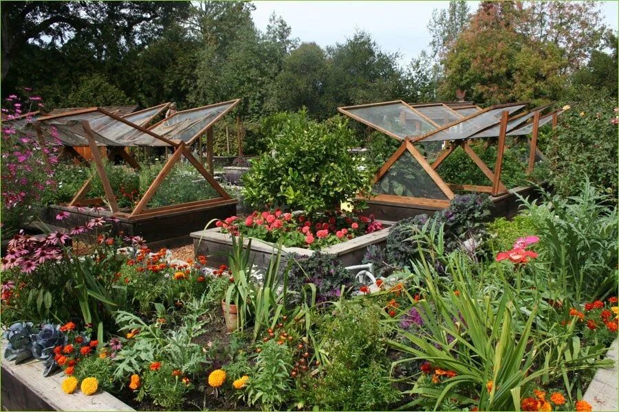 Красивые огороды и сады своими руками фото Плодовый сад и огород Vegetable garden design, Vegetable garden planner, Small v