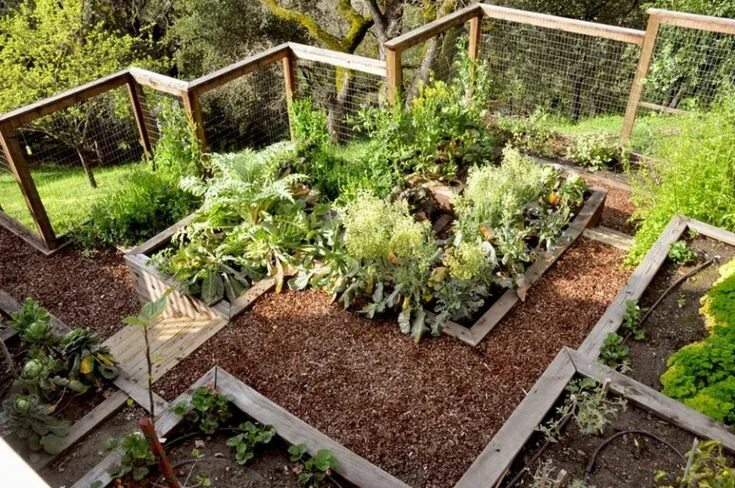 Красивые огороды и сады своими руками фото DIY garden beds: 43 interesting ideas for country design My desired home Sloped 