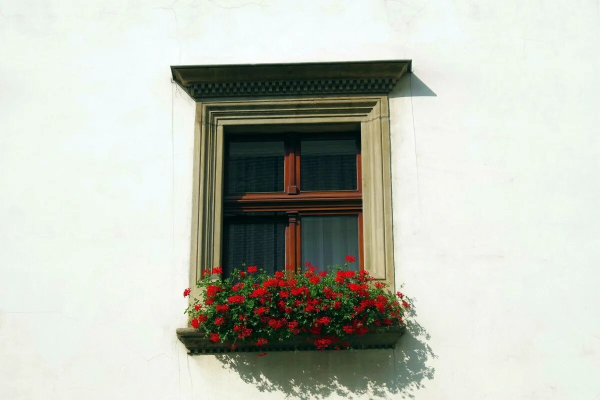 Красивые окна фото снаружи Free Images : architecture, house, glass, building, city, red, color, facade, wi