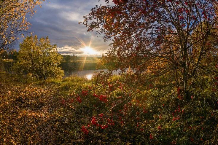 Красивые октябрьские пейзажи фото символ весны. Фотограф Марина Мурашова Пейзажи, Осенний пейзаж, Идеи озеленения
