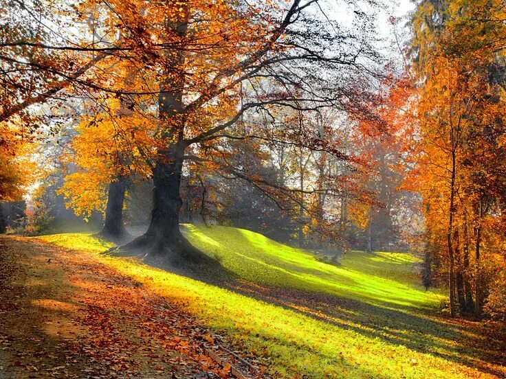 Красивые октябрьские пейзажи фото Gepind van kepguru Autumn landscape, Autumn nature, Landscape paintings