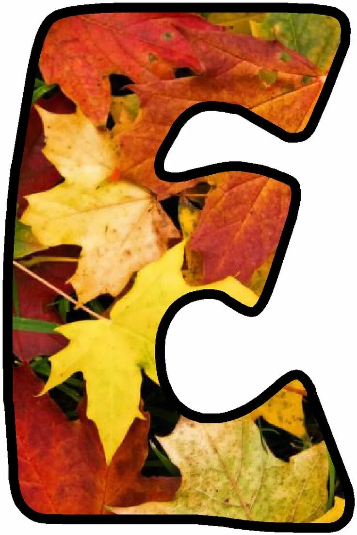 Красивые осенние буквы для оформления Pin on Alfabeto Fruit coloring pages, Monogram alphabet, Types of lettering