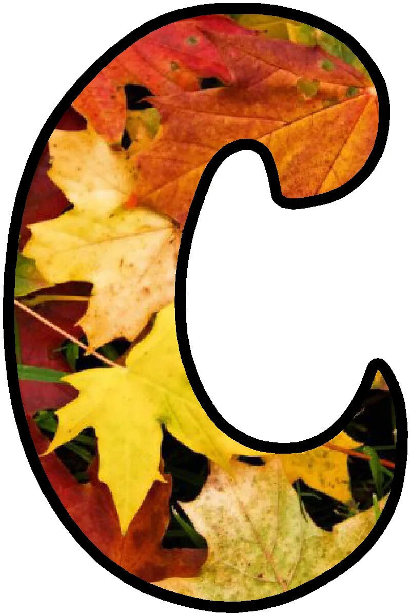 Красивые осенние буквы для оформления Pin on Estampar School auction art projects, Lettering alphabet, Fruit coloring 