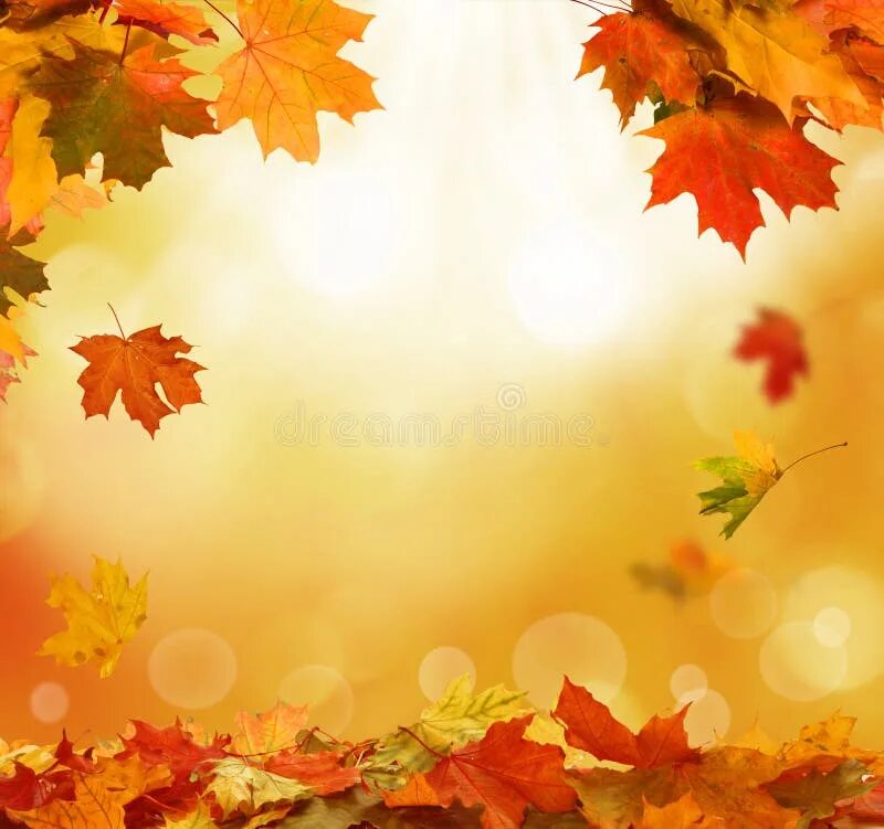 Красивые осенние фоны для оформления текста Autumn background stock image. Image of clean, frame - 34837643