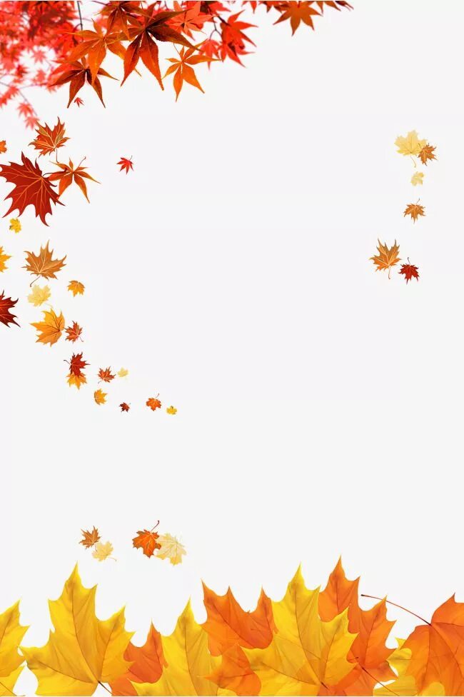 Красивые осенние фоны для оформления текста Des Millions d'images PNG, Fond et Vecteurs Pour le Téléchargement Gratuit Pngtr