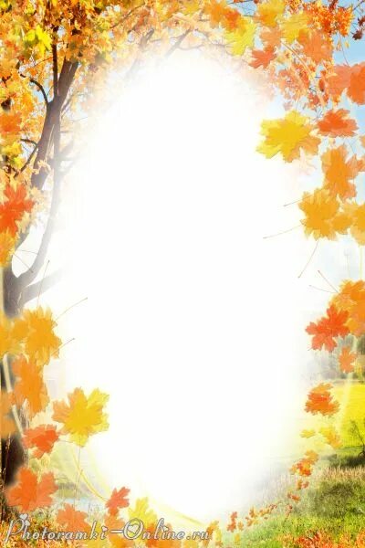 Красивые осенние фоны для оформления текста Hd nature wallpapers, Background for photography, Frame border design