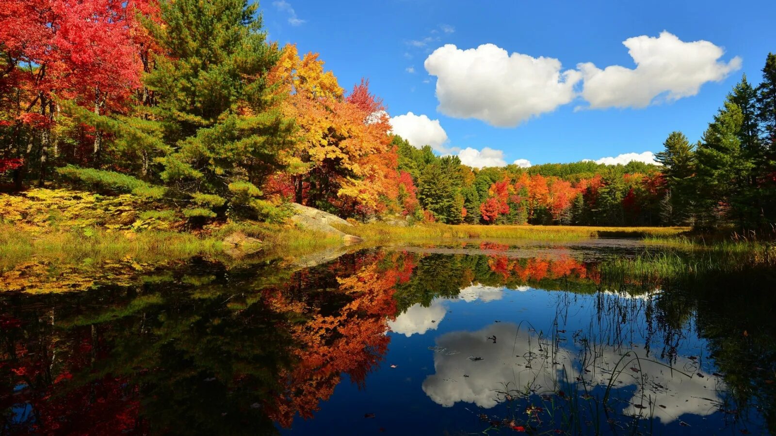 Красивые осенние фото природы в хорошем качестве Wallpaper : landscape, lake, nature, reflection, river, pond, tree, autumn, leaf