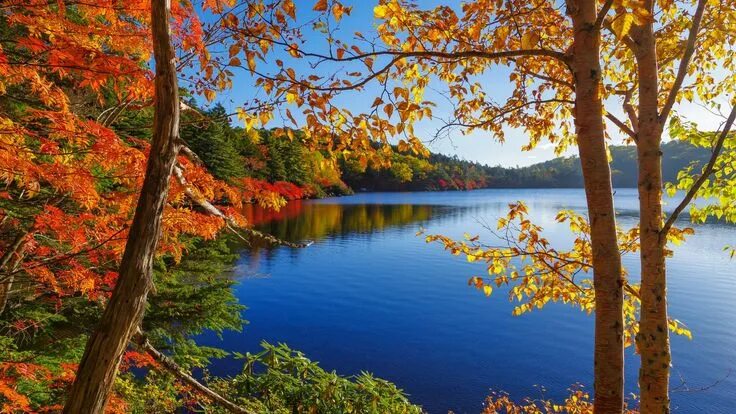 Красивые осенние фото природы в хорошем качестве Paysage automne, Fond ecran gratuit paysage, Fond ecran paysage