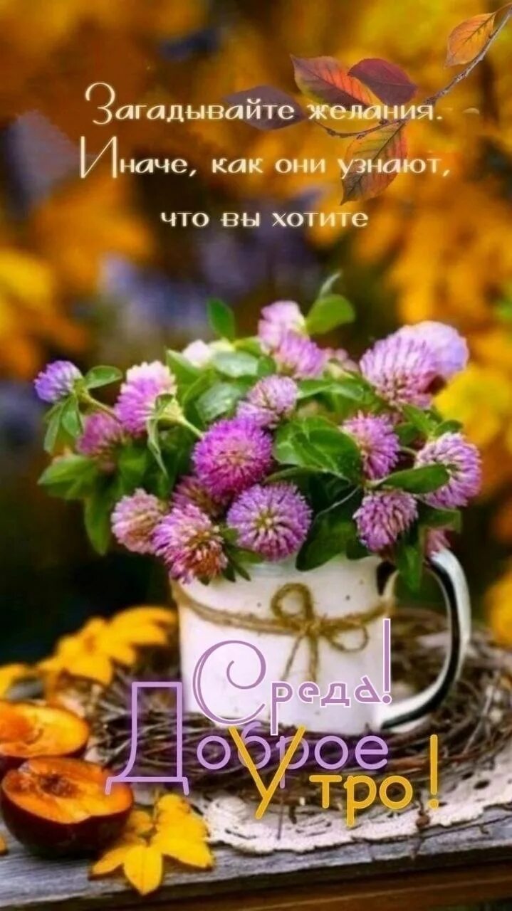 Красивые осенние картинки доброго утра и дня Post #15749 - ПОЖЕЛАНИЯ ДОБРА (@pozhelaniy)