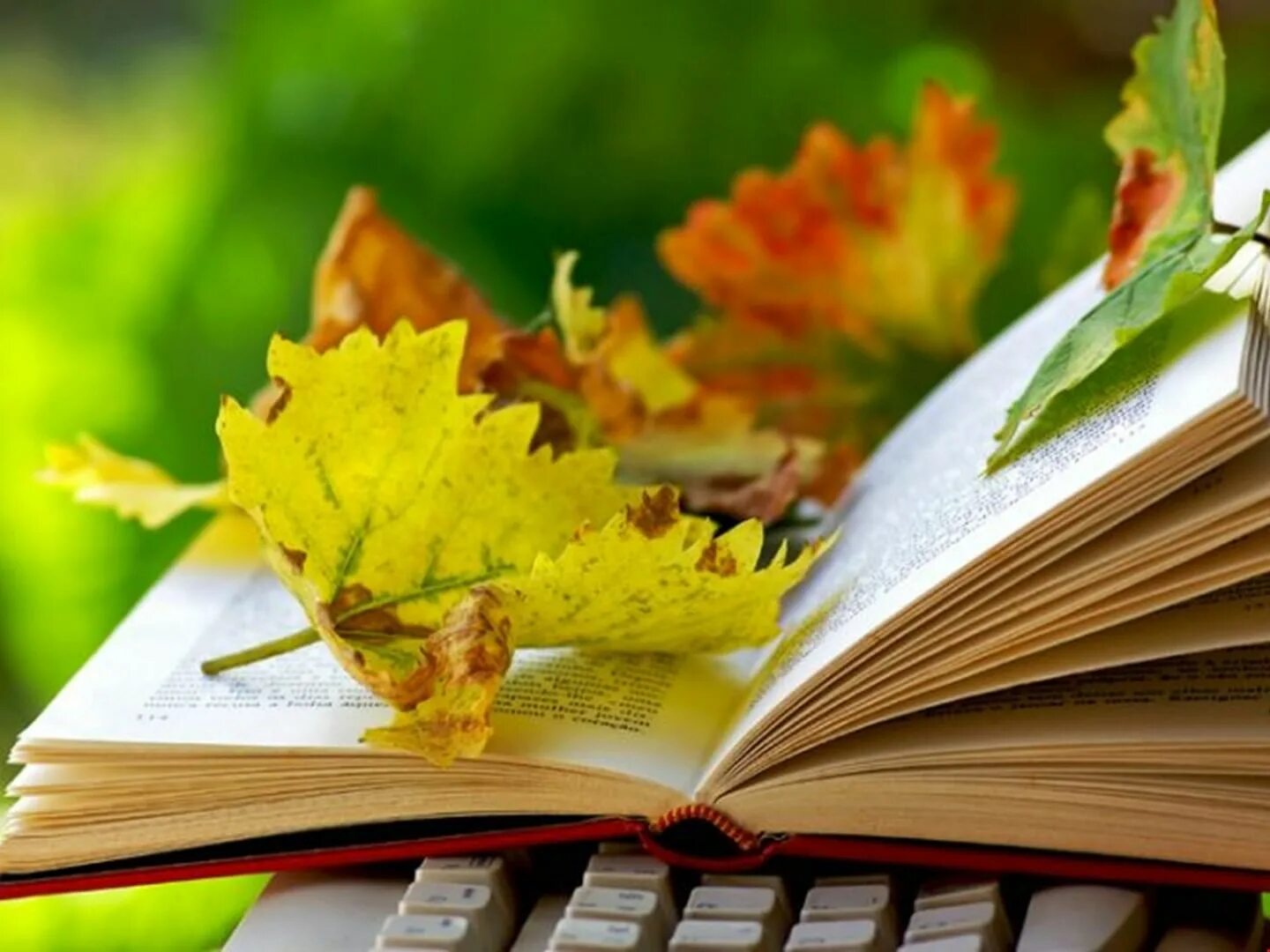 Красивые осенние картинки с днем учителя Книжная выставка "Мир знаний открывает книга" 2020, Учалинский район - дата и ме