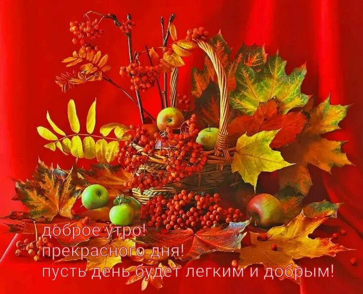Красивые осенние картинки с пожеланиями Доброе утро Доброе утро, Утренние сообщения, Ноябрь