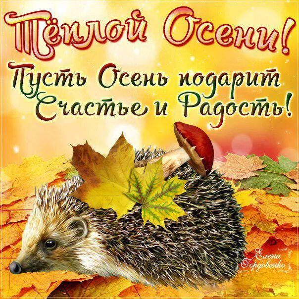 Красивые осенние картинки с пожеланиями Открытки с осенними пожеланиями в Доме Солнца - Страница 3