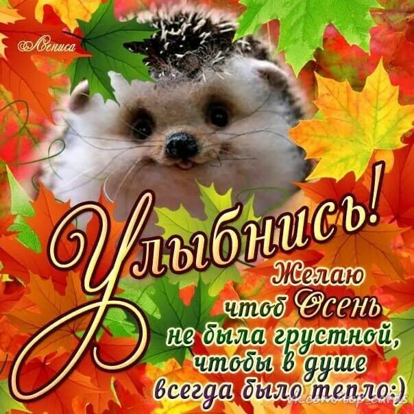 Красивые осенние картинки с пожеланиями Pin by Маргарита Решта on Пожелания Grinch, Cards, Quotes