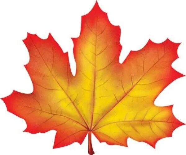 Красивые осенние листочки для оформления Őszi levelek a díszítés iskolai tábla vagy egy óvodai csoportban, a szeptember 1