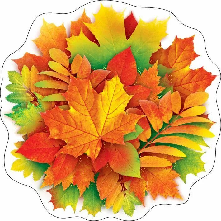 Красивые осенние листочки для оформления Pin on картинки детям Fall crafts, Jute crafts, Autumn beauty