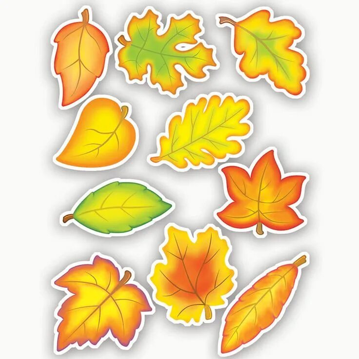Красивые осенние листья для оформления шаблоны Accent Dazzlers Autumn Leaves Autumn leaves, Leaf template, Crafts for kids