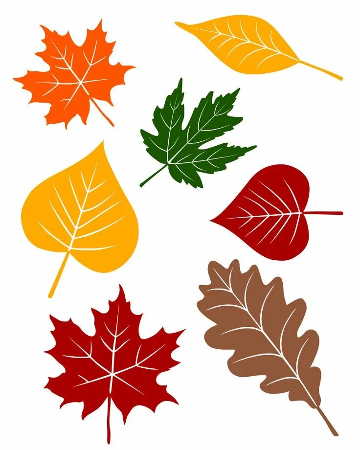 Красивые осенние листья для оформления шаблоны 5 Fall Circle Time Lessons with FREE Printables Leaf crafts, Autumn leaves craft