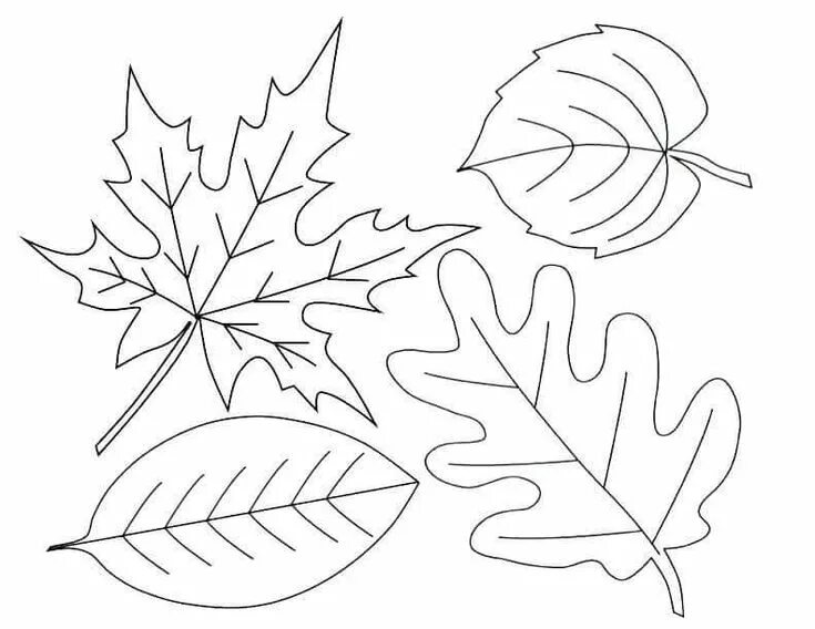 Красивые осенние листья для оформления шаблоны Free Printable Fall Leaves Coloring Pages Leaf coloring page, Pumpkin coloring p