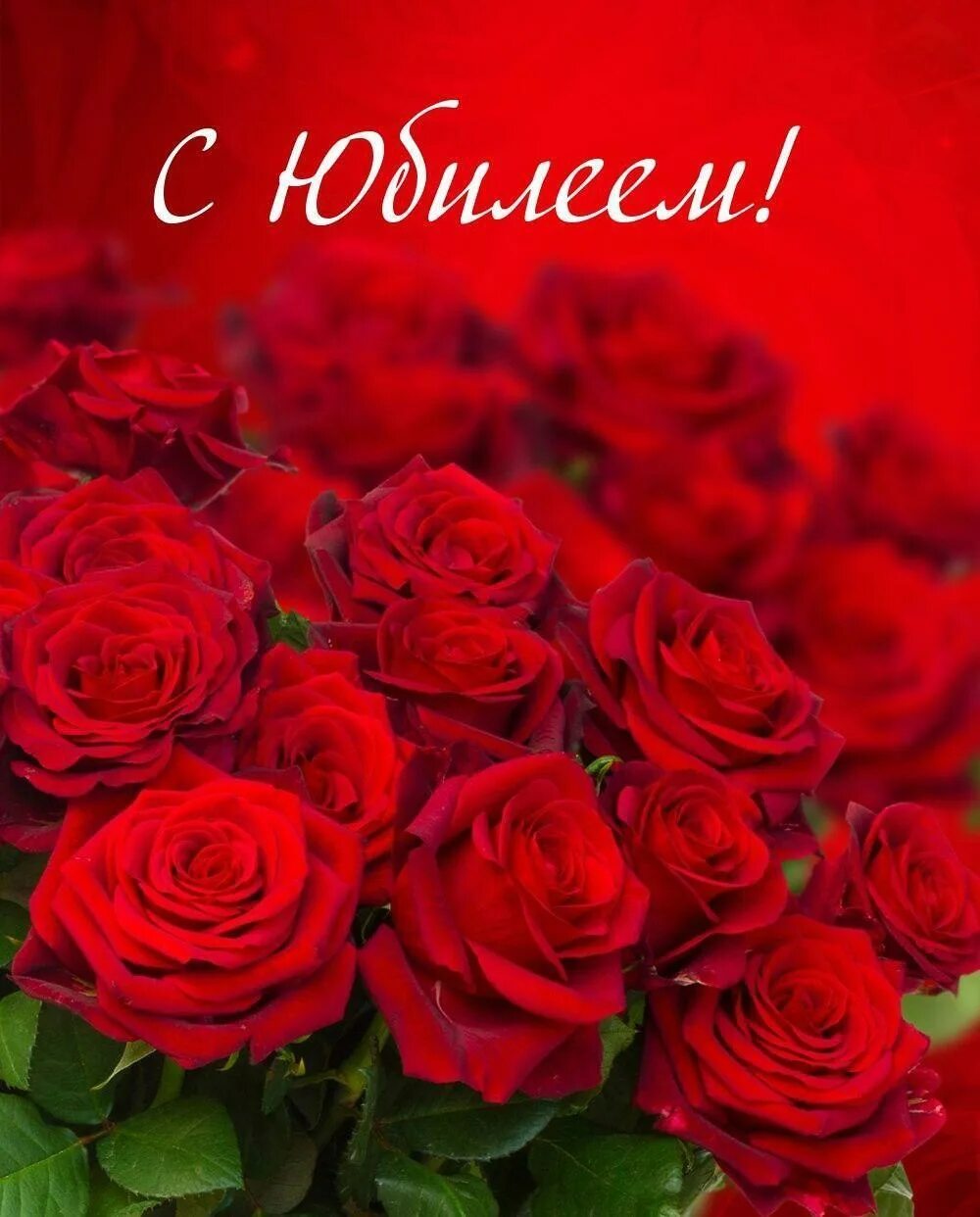 Красивые открытки с юбилеем фото Новости и репортажи