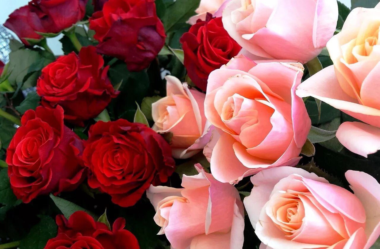 Красивые открытки с юбилеем фото 10 Items You Need to Have the Most Romantic Valentine's Day Picnic