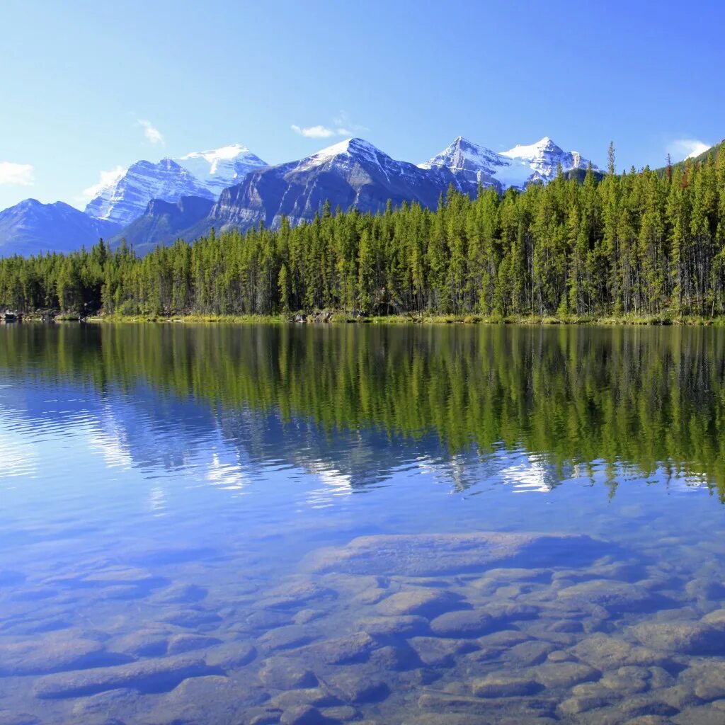Красивые озера россии фото Herbert Lake - iPad Retina Wallpaper for iPhone 11, Pro Max, X, 8, 7, 6 - Free D