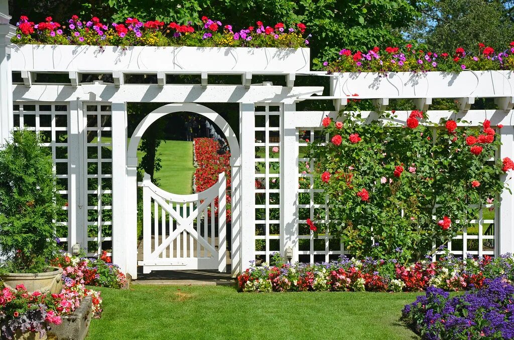 Красивые перголы на участке фото White garden gate with flowers White garden gate and fence. Flickr