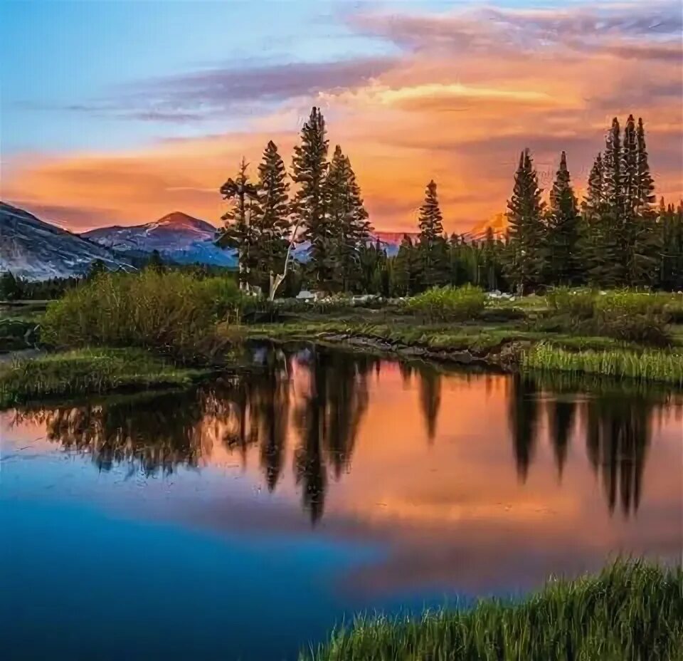 Красивые пейзажи фото высокого Fina bilder Beautiful nature wallpaper, Beautiful landscapes, Beautiful nature