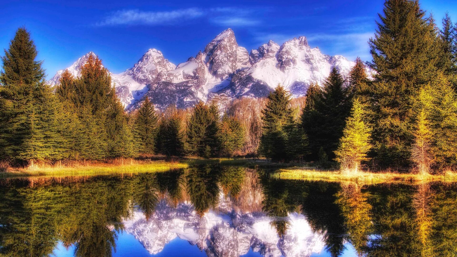 Красивые пейзажи фото высокого разрешения скачать Wallpaper : lake, nature, reflection, spruce, wilderness, Grand Teton National P