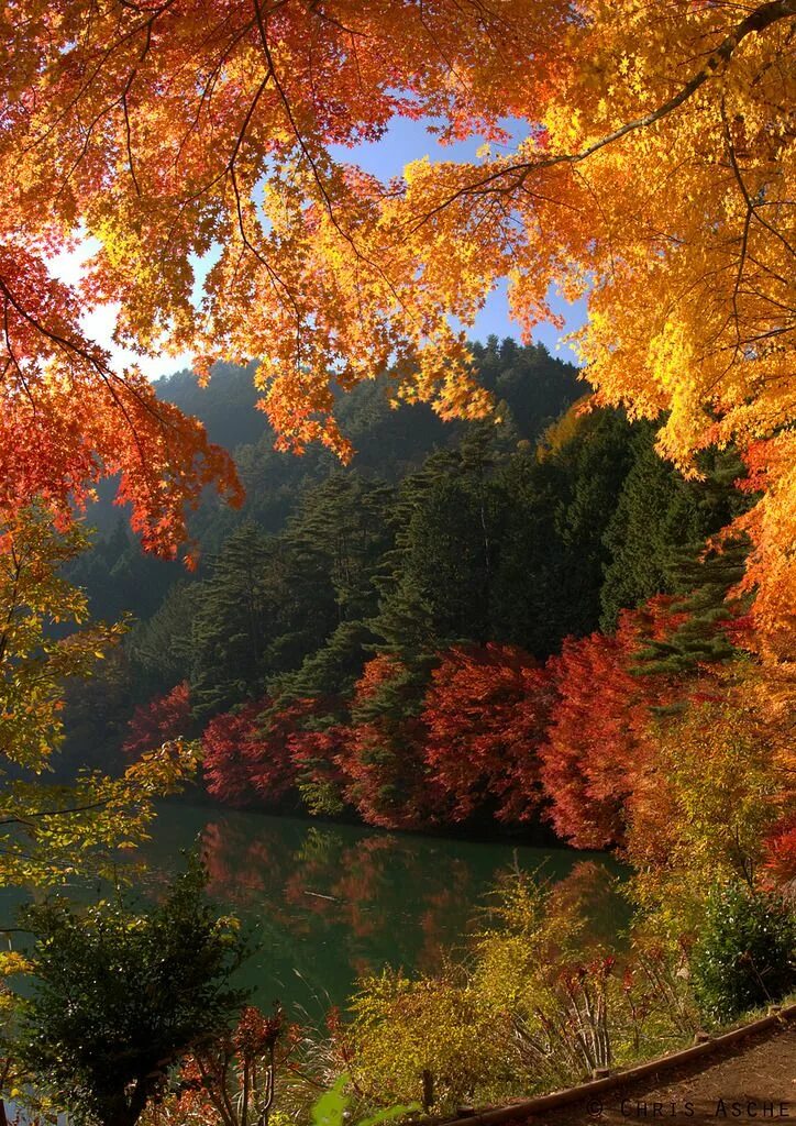 Красивые пейзажи осени фото autumn's calling Nature photography, Autumn scenery, Autumn landscape
