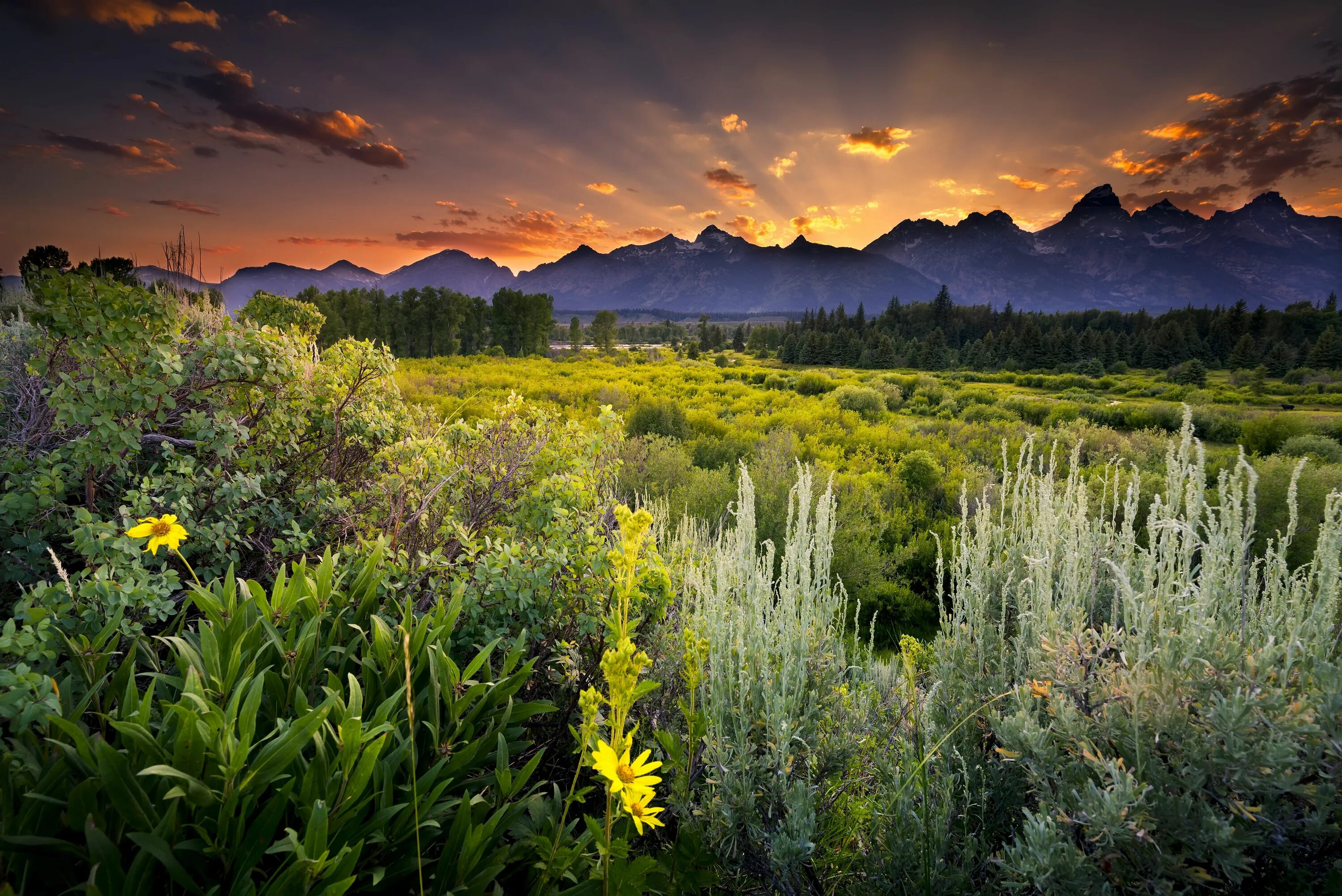 Красивые пейзажи природы фото скачать бесплатно Pin on Wyoming