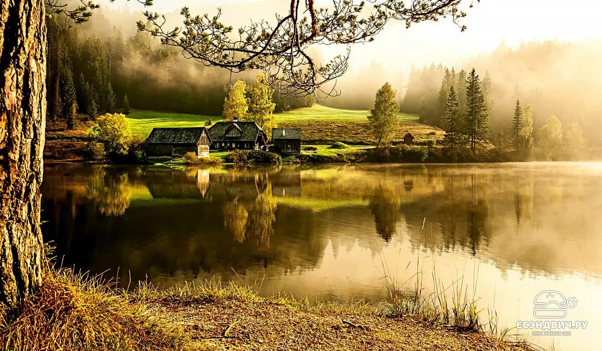 Красивые пейзажи природы фото высокого Стол с фотопечатью 1,2 (nature 2) "Амели". Купить Коллекция Амели 1,2 (от 9